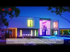 ৮১০আরজিবি এলইডি স্ট্রিপ